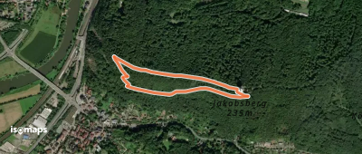 Wald-Abenteuer-Pfad