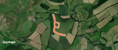 Hod Hill butterfly walk, Hod Hill