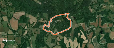 Leith Hill Woodland Walk, Leith Hill