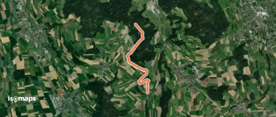 Wetzwil - Grütwald