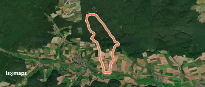 Güterwald
