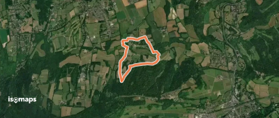 Yew Tree Walk, Polesden Lacey