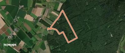 Uedemer Hochwald - Rundwanderweg Quadrat