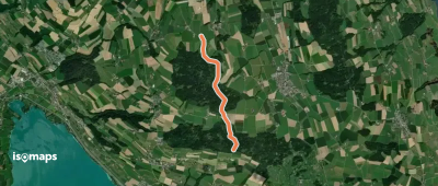 Morentaler Wald - Blosenberg