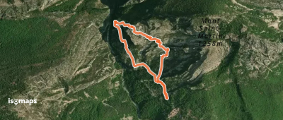 Aiglun - Mont Saint Martin - Chevreuils de Calendal