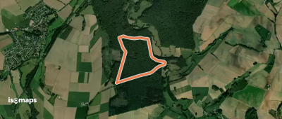 Rundwanderweg A1 Steinheimer Holz