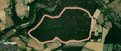 Kaufunger Wald, Rundweg 31 - Mühlenberg