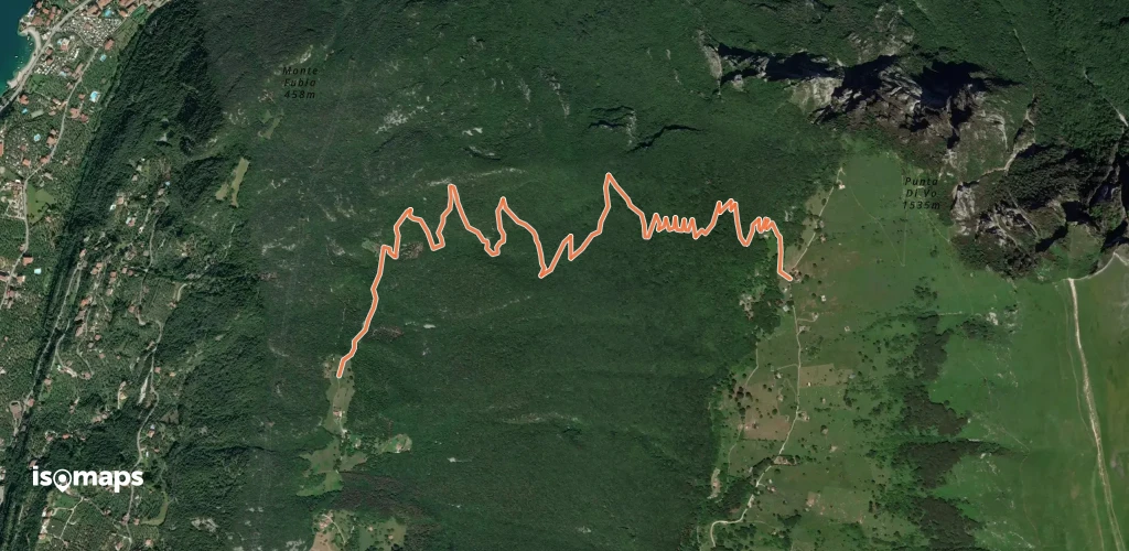 OSM Route 2980758