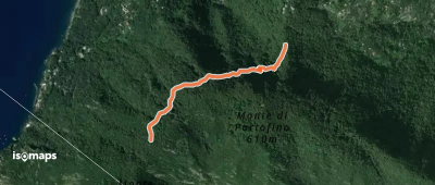 OSM Route 167436