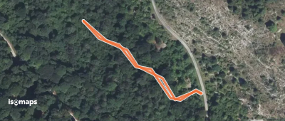 Grotte du Castel Mouly - De la route forestière d'Esquiou