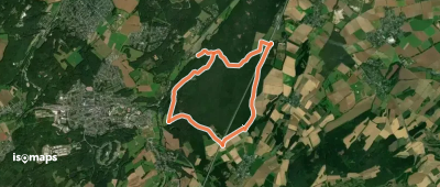 EifelSchleife Ab in den Wald!