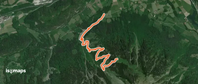Vorder Ahorni - Bruchwald
