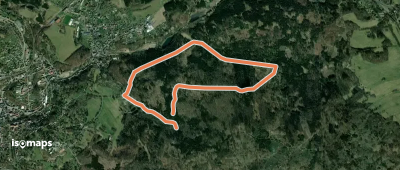 Grüner Punkt, Sebnitzer Wald