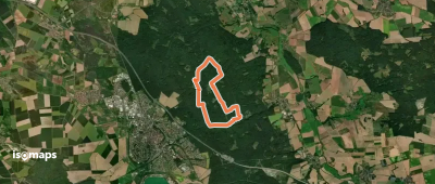 Großer Waldrundweg
