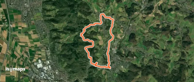 Rundwanderweg Birkenau 3: Lieberbacher-Weg