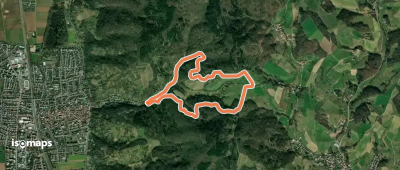 Rundwanderweg Hemsbach Schaumesklingen 2: Waldnersturm-Weg