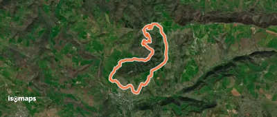 De la Vigne à la Forêt