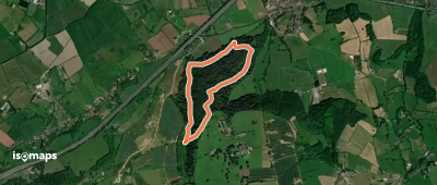 Prior's Wood