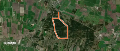 Bergweg