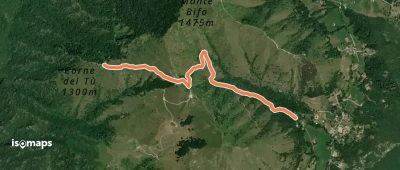 OSM Route 3193901
