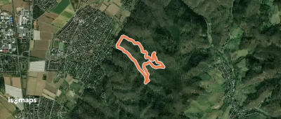 Rundwanderweg Alsbach-Hähnlein Sperbergrund 6: Haselbachtal-Weg