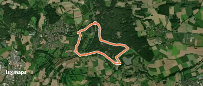 Rundwanderweg A2 [Schauinsland / Entenkrug]