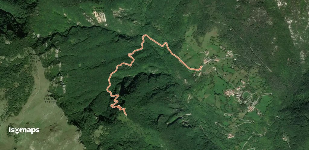 OSM Route 3211855