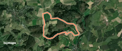 Rundwanderweg Modautal Am Junkernkopf 5: Allertshöfer Tannenweg