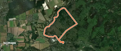 Sachsenwald Wanderweg 1: Der Eisvogelweg