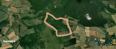 Wildkatzenpfad