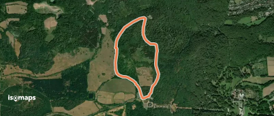 Kassel - Wilhelmshöhe, Rundweg 14