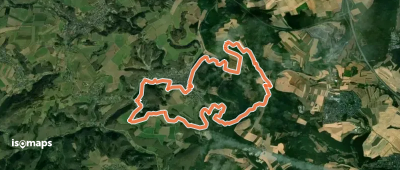 Traumpfad Waldseepfad Rieden