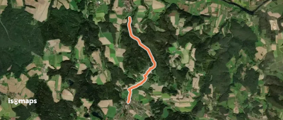 O 36 Reichenbach - Wald (Grünes Rechteck)
