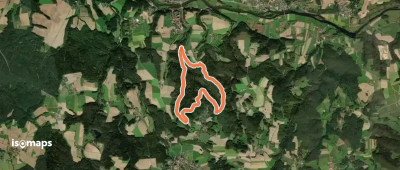 Wilder Mann 47 / Re 4 »Pfaffen-Steinweg«, Naturpark Vorderer Bayerischer Wald
