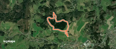 Rundwanderweg Steinachquelle 4: Götzenstein-Weg