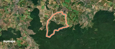 Rundwanderweg Knetzgau K 4