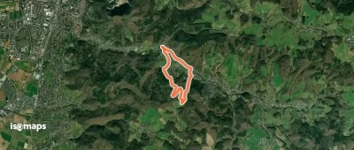 Rundwanderweg Gorxheimertal 2: Gorxenkopf-Weg