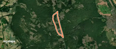 Udenhäuser Stock, Rundweg 1