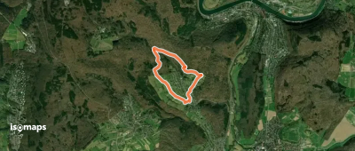 Rundwanderweg Waldhilsbach 13 - Dreibuchenhang-Weg