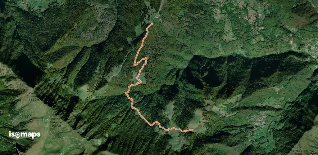 OSM Route 3365581