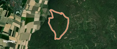 Schwarzer Keiler Rundweg Röllbach