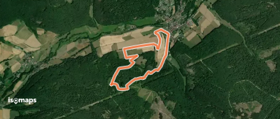 Rundweg Grüner See