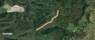 Anninger Schutzhaus - Kaisergerndl - Forststraße Kientalstraße (parallel zur Hauptwanderroute)