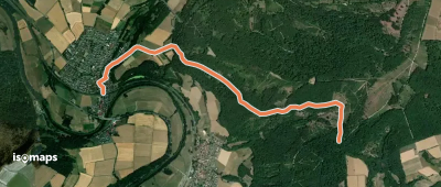 Röhrenfurth - Kroneneiche