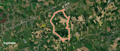 Hermansheuvel Oranje bol