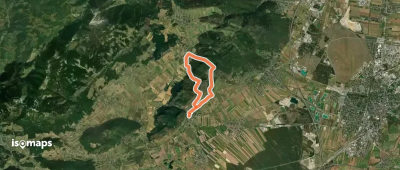 Durch die Weinberge nach Muthmannsdorf