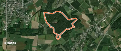 Nieuwenhoven Oranje bol