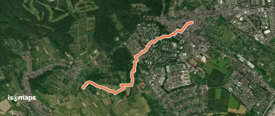 Rheinsteig-Zuweg Dotzheim