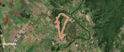 Anello di Vecchiano