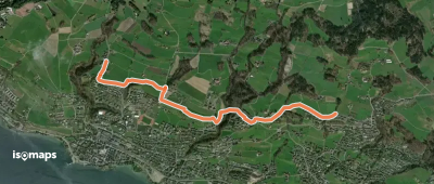 Burg - Uetikon Brand